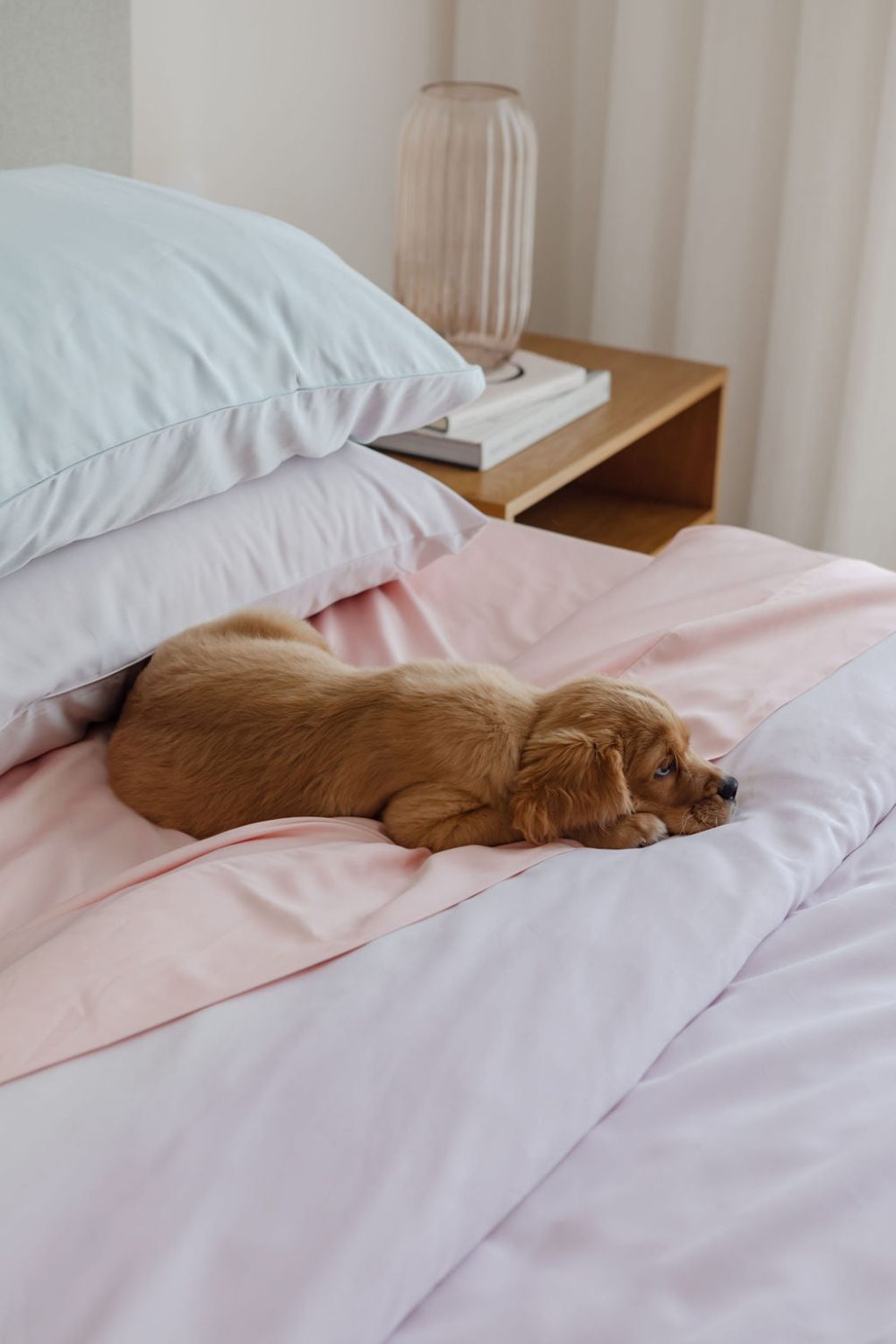 Bamboo Sheet Set - Blossom